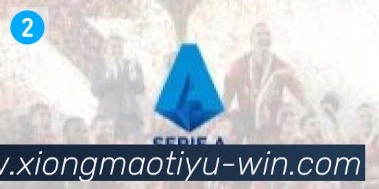熊猫体育直播合作伙伴