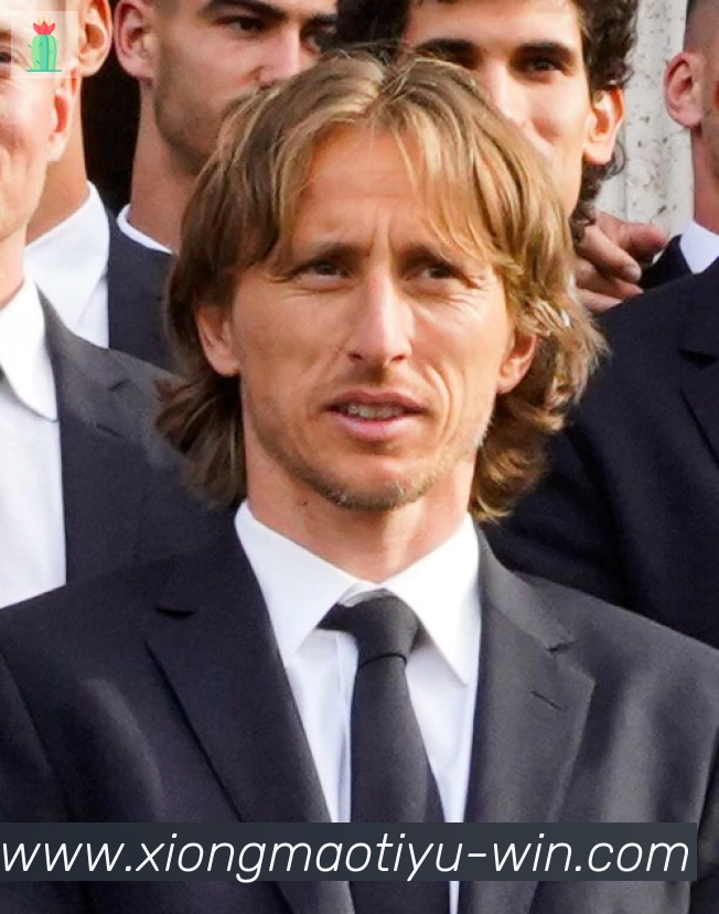 维尼修斯